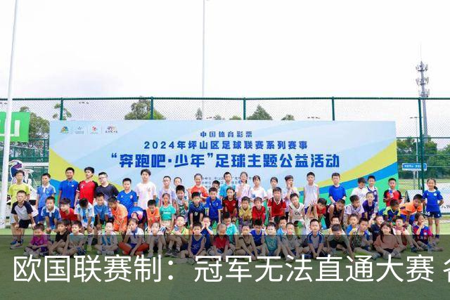 欧国联赛制：冠军无法直通大赛 各联赛存升降级